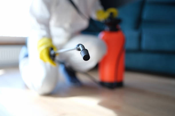 Best Biohazard Mold Removal  in Woodbury Heights, NJ