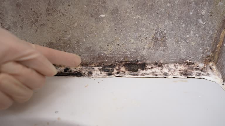 Best Residential Mold Inspection & Testing  in Woodbury Heights, NJ